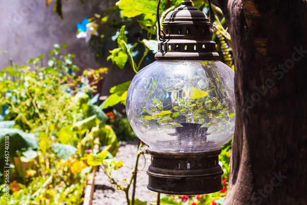 Obraz lantern in the garden