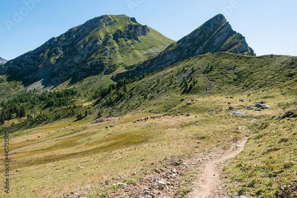 Fototapeta Aussicht Churerjoch