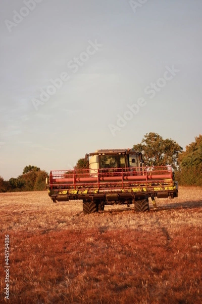 Obraz combine harvester working on a field