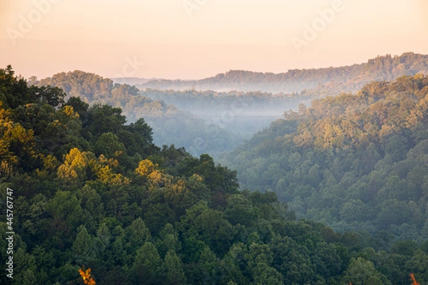 Obraz Valley in Morning Light
