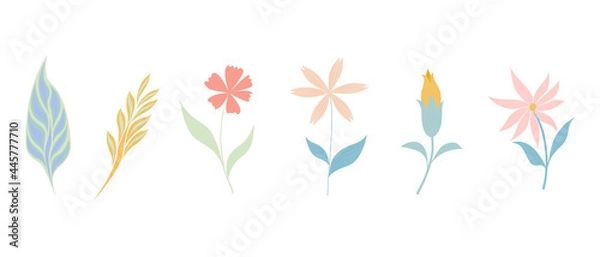Fototapeta Flowers and leaves set