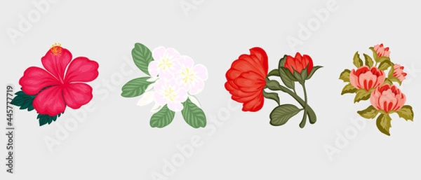 Fototapeta Flowers set 