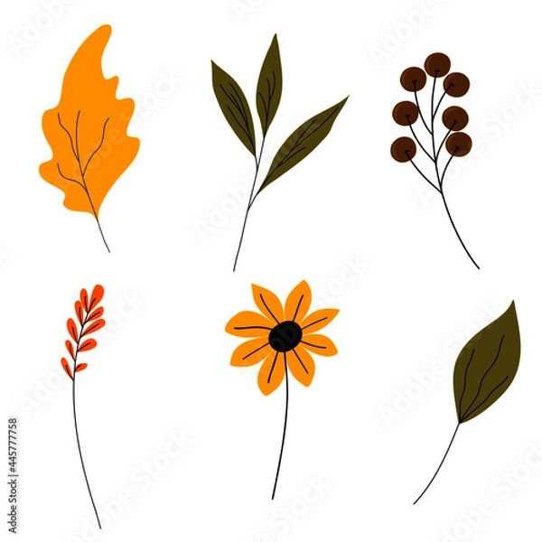 Fototapeta Leaf and flowers set