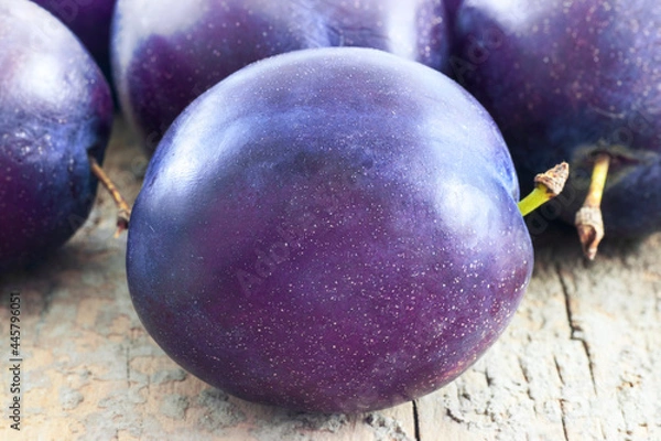 Fototapeta Plums (Prunus Domestica) variety "President" over a wooden table with bright ambient