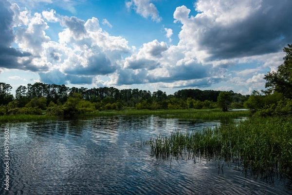 Fototapeta clouds over the river
