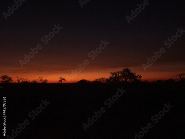 Obraz sunset in the desert