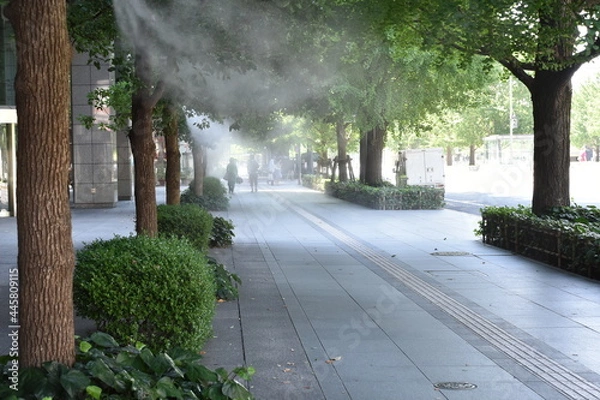 Obraz ミストシャワー