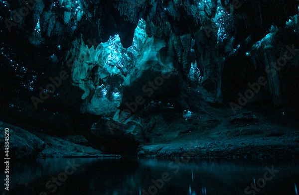 Obraz "Waipu Cave" Glowworm cave