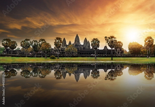 Obraz Sunset in he forest.