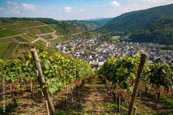 Obraz Ahr Valley, Rhineland Palatinate, Germany: Village of Dernau as seen from the vineyards along the 'Rotweinwanderweg', the Red Wine Hiking Trail in Germany's Ahr Valley