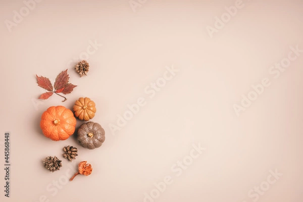 Fototapeta Collection of handmade plaster pumpkins. Autumn seasonal holidays background in natural colors. DIY craft pumpkins for helloween, thanksgiving, fall decoration