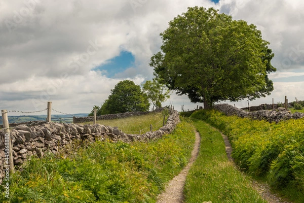 Obraz The Farmer's Track