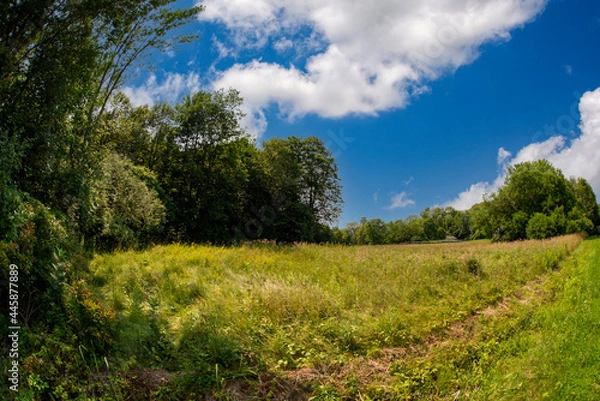 Obraz Summer scene in the Adirondacks 