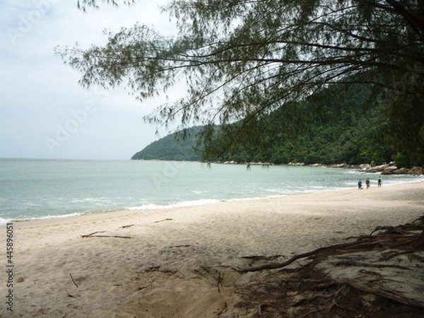 Obraz Beautiful view of the beach with blue sky and the trees
