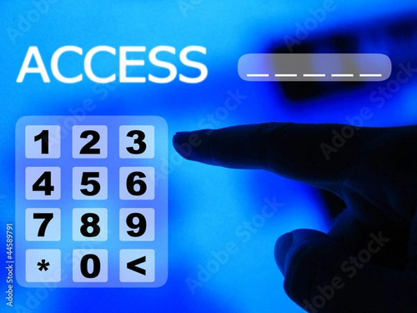 Obraz access password