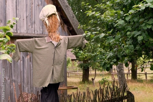 Fototapeta A scarecrow in old clothes, a fragment of a hut and a tree in the background.