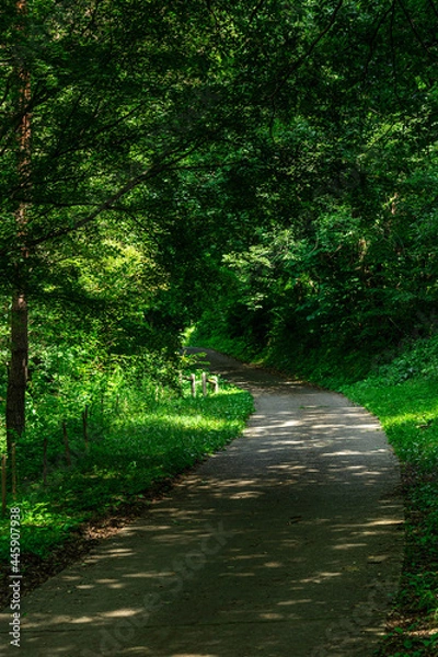 Fototapeta 夏の牛伏寺フランス式階段工　遊歩道