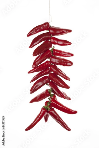 Obraz Espelette peppers