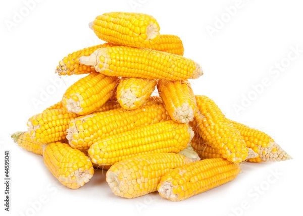 Fototapeta Fresh corn