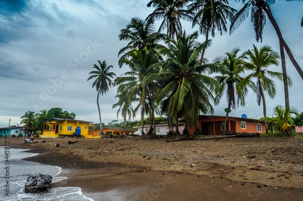Fototapeta beach with palms