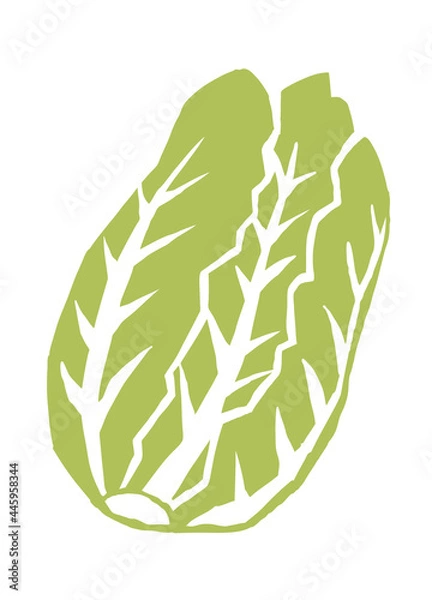 Obraz 白菜　レトロなベクターイラスト