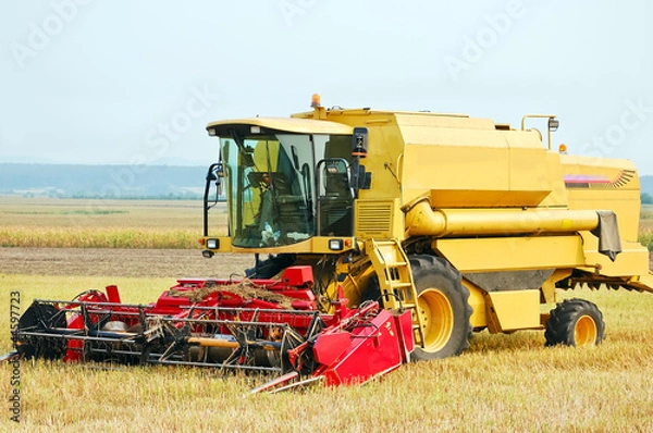 Obraz Mähdrescher auf abgemähtem Feld
