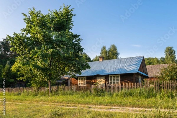 Fototapeta Old, wooden farm house, situated in the countryside, between the trees in the summertime. Krasnobród, Roztocze, Poland.