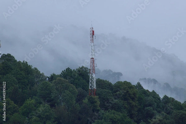 Obraz bosque nublado