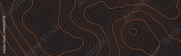 Fototapeta The stylized height of the topographic map contour in lines and contours. The concept map of a conditional geography scheme and the terrain path. Isolated Object. Ultra Wide size. Vector illustration.