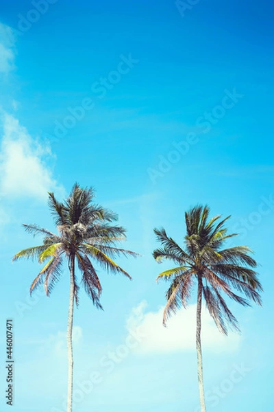Fototapeta Tropical palm tree with blue sky and cloud abstract background. Summer vacation and nature travel adventure concept.