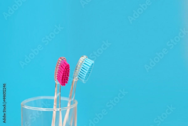 Fototapeta Two colored toothbrushes in a glass on a blue background. Blue and pink toothbrushes. Close-up. Space for text