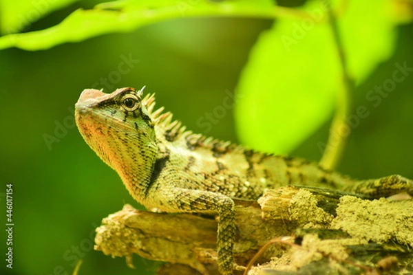 Obraz พักผ่อนหย่อนใจ