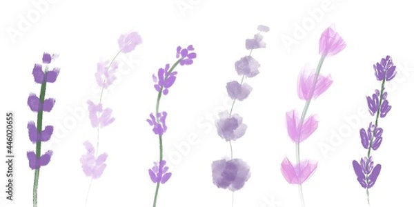 Obraz Lavender collection three