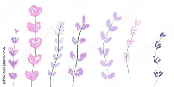 Obraz flowers on white background , lavender collection two