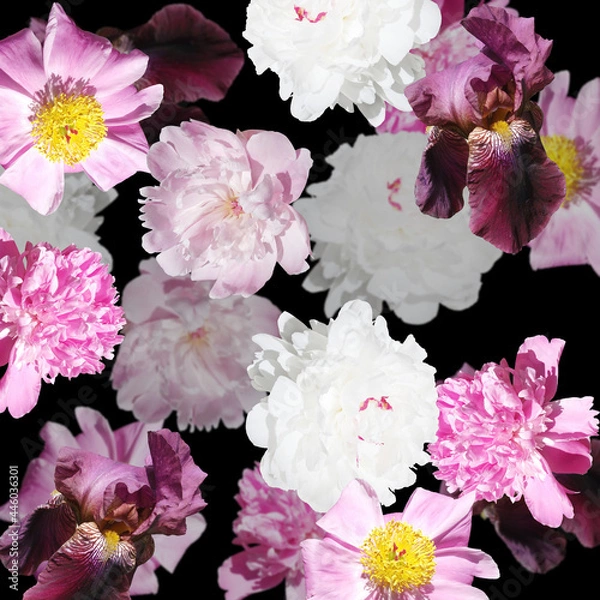 Obraz Beautiful floral background of peonies and iris. Isolated