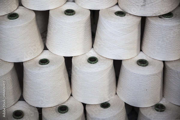 Obraz cotton thread cone