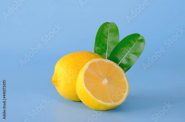 Obraz lemon on a blue background