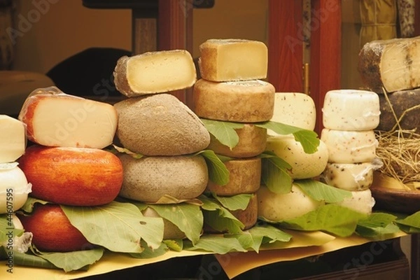 Obraz Tuscan cheeses
