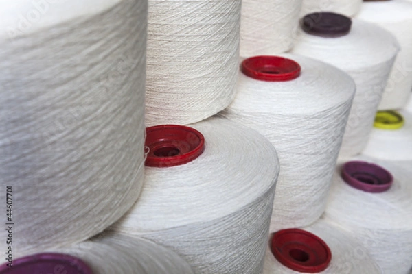 Obraz cotton thread cone