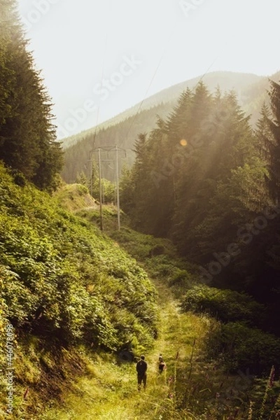 Fototapeta Olympic Mountains