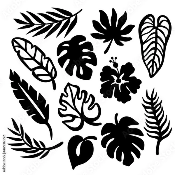 Obraz TROPIC LEAVES Monochrome Collection Leaves Of Exotic Plants Carved Openwork Contours For Print And Plotter Cutting Cliparts Vector illustration Set
