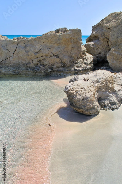 Fototapeta Stones in algae on the paradise sandy shore.