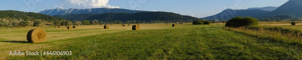 Fototapeta Many hay bales over the rural fields at Rocca di Mezzo upland , with high mountains on the background , Abruzzo , Italy