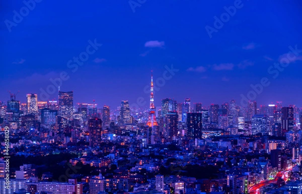 Fototapeta 東京夜景
