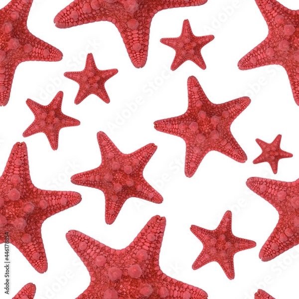 Fototapeta Red starfish seamless pattern. Isolate on a white background. Endless texture for sea design, greeting cards, fabrics, announcements, posters