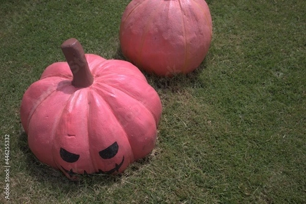 Obraz pumpkin on grass