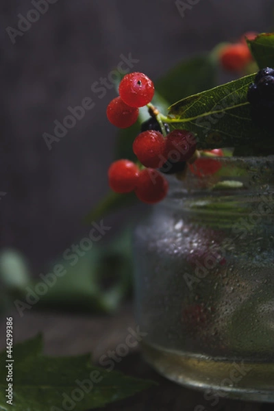 Fototapeta Summer berries. Collection of berries, vitamins