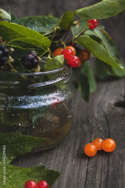 Fototapeta Summer berries. Collection of berries, vitamins