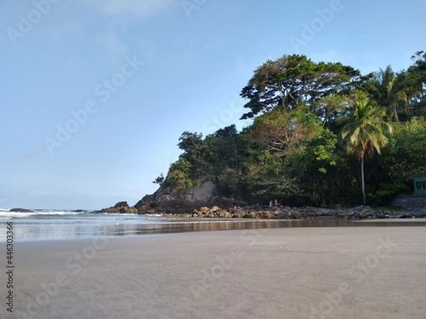 Fototapeta beach with palm trees