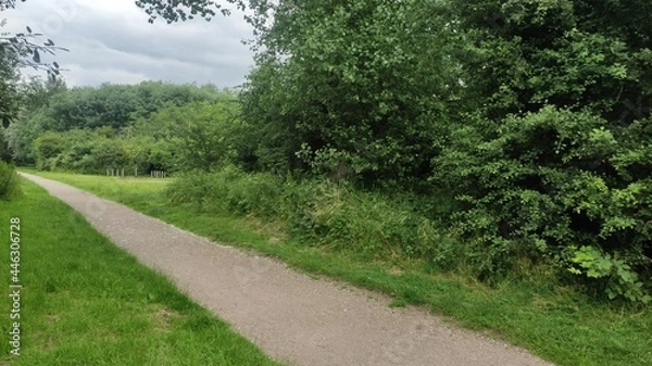 Obraz path in the woods